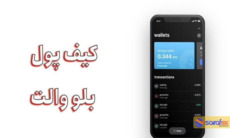 کاربرد کیف پول بلو ولت