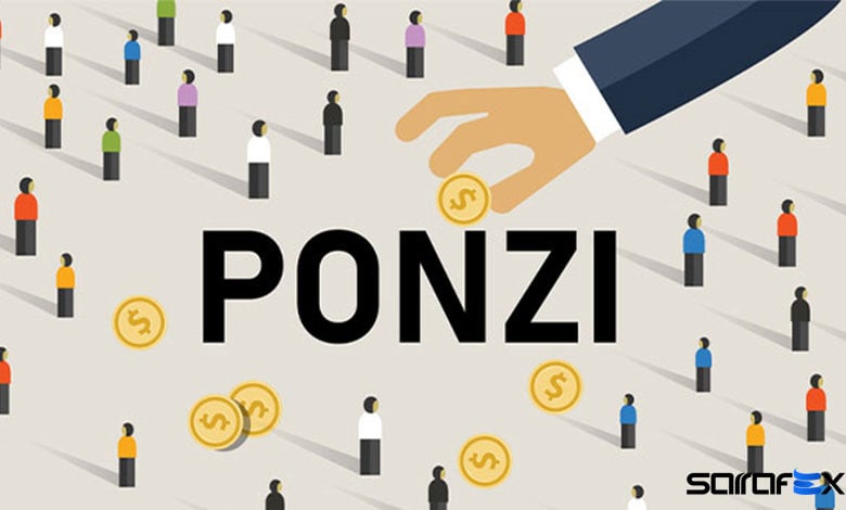 طرح پانزی Ponzi Scheme
